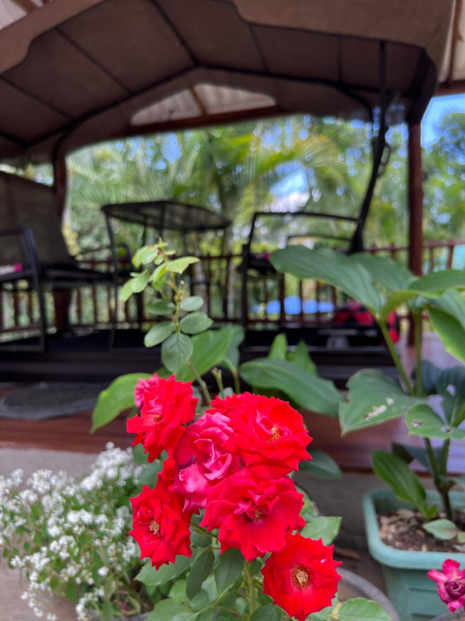 Eeshani Guest Inn Ella Ngoại thất bức ảnh
