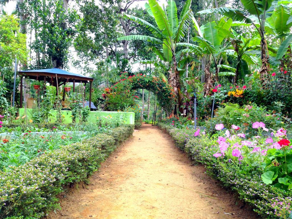 Eeshani Guest Inn Ella Ngoại thất bức ảnh